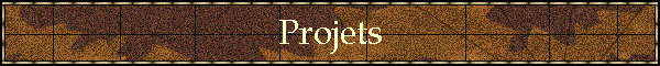 Projets